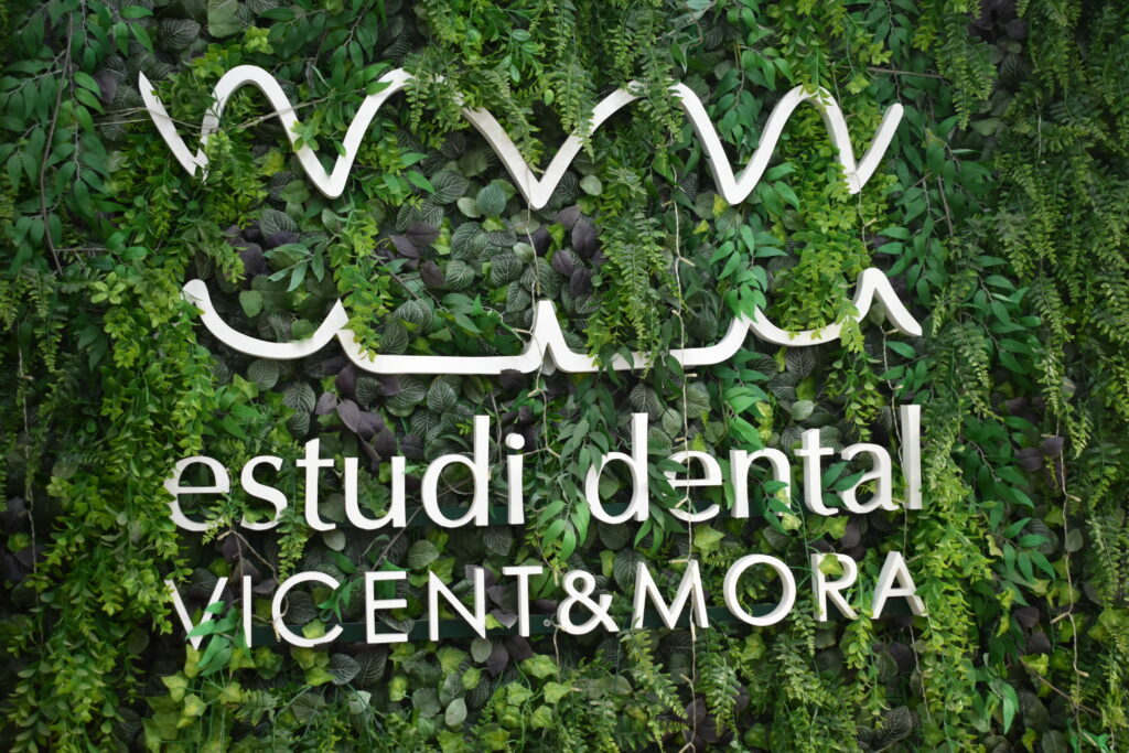 Detalle - Estudi Dental Vincent & Mora - Clínica dental en Guardamar del Segura y La Vila Joiosa