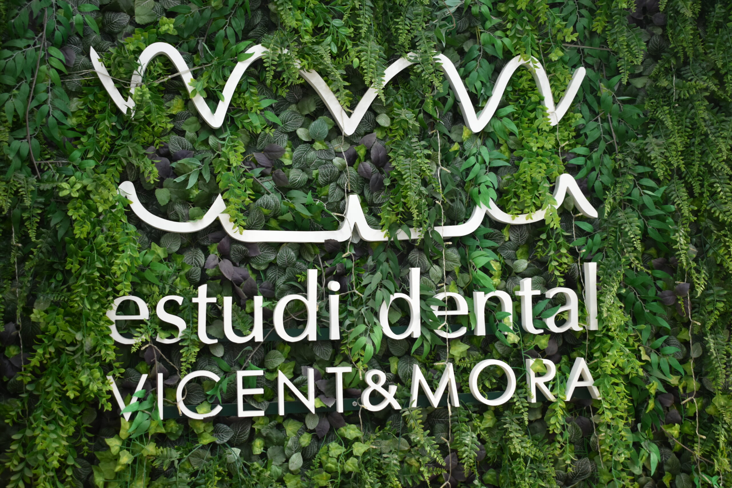 Detalle - Estudi Dental Vincent & Mora - Clínica dental en Guardamar del Segura y La Vila Joiosa